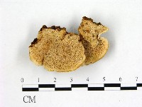 登錄號:F0013671藏品圖，第1張