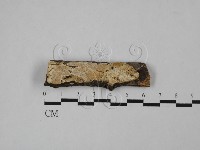 登錄號:F0013672藏品圖，第1張