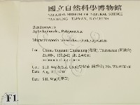 登錄號:F0013673藏品圖，第2張