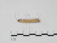 登錄號:F0013673藏品圖，第1張