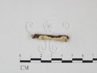 登錄號:F0013673藏品圖，第3張