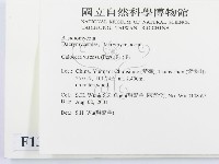 登錄號:F0013674藏品圖，第2張