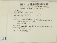 革菌屬藏品圖，第2張