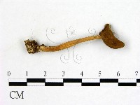 登錄號:F0013677藏品圖，第3張