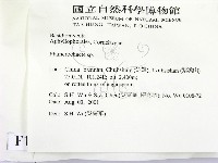 顯絲菌屬藏品圖，第2張