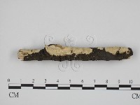 登錄號:F0013680藏品圖，第3張
