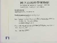 登錄號:F0013681藏品圖，第2張