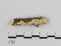 登錄號:F0013681藏品圖，第1張