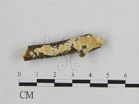 登錄號:F0013681藏品圖，第3張