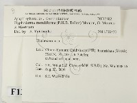 登錄號:F0013682藏品圖，第2張