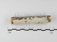 登錄號:F0013682藏品圖，第3張