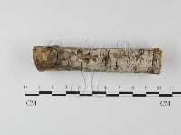 登錄號:F0013682藏品圖，第4張