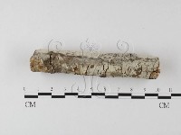 登錄號:F0013682藏品圖，第5張