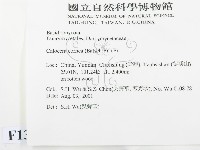登錄號:F0013684藏品圖，第2張