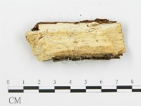 登錄號:F0013685藏品圖，第3張