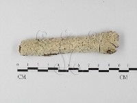 登錄號:F0013686藏品圖，第1張