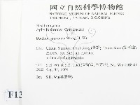 登錄號:F0013687藏品圖，第2張
