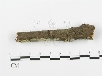 登錄號:F0013687藏品圖，第1張