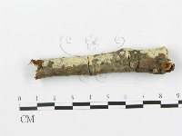 登錄號:F0013687藏品圖，第4張