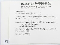 登錄號:F0013688藏品圖，第2張