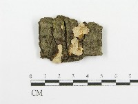 登錄號:F0013688藏品圖，第1張