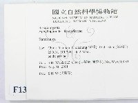 登錄號:F0013689藏品圖，第2張