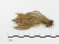 登錄號:F0013689藏品圖，第3張