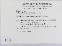 登錄號:F0013690藏品圖，第2張