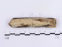 登錄號:F0013690藏品圖，第1張