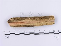 登錄號:F0013690藏品圖，第3張