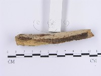 登錄號:F0013690藏品圖，第5張