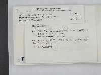 登錄號:F0013691藏品圖，第2張