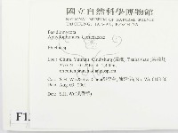 登錄號:F0013692藏品圖，第2張
