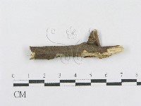 登錄號:F0013692藏品圖，第3張