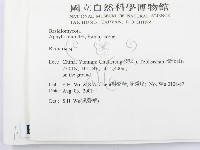 登錄號:F0013693藏品圖，第2張