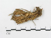 登錄號:F0013693藏品圖，第3張