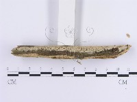 登錄號:F0013694藏品圖，第3張