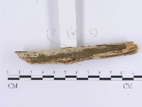 登錄號:F0013694藏品圖，第4張