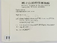 絲皮菌屬藏品圖，第2張
