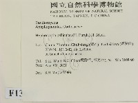登錄號:F0013696藏品圖，第2張