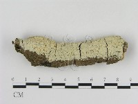 登錄號:F0013696藏品圖，第1張
