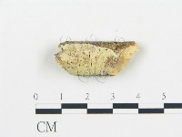 登錄號:F0013697藏品圖，第1張