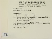寡孔菌屬藏品圖，第2張