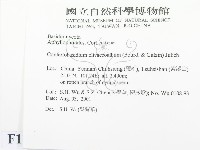登錄號:F0013699藏品圖，第2張