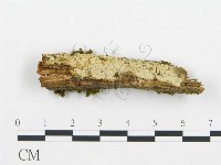 登錄號:F0013699藏品圖，第1張