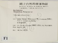 登錄號:F0013700藏品圖，第2張