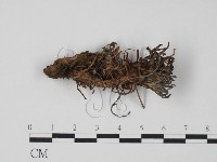 登錄號:F0013700藏品圖，第1張