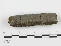 登錄號:F0013701藏品圖，第3張