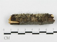 登錄號:F0013701藏品圖，第4張
