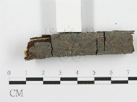 登錄號:F0013701藏品圖，第5張